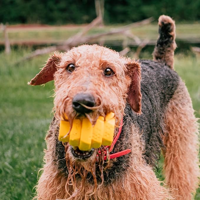 PROJECT HIVE ·PET COMPANY· - Hive Chew Toy for Large Dogs - Dog Chew Toy for Large Breeds - Floats in Water - Durable and Tough - Made in The USA