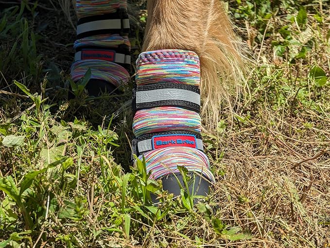 All Weather Neoprene Paw Protector Dog Boots with Reflective Straps in 5 Sizes! (Multicolor Large)