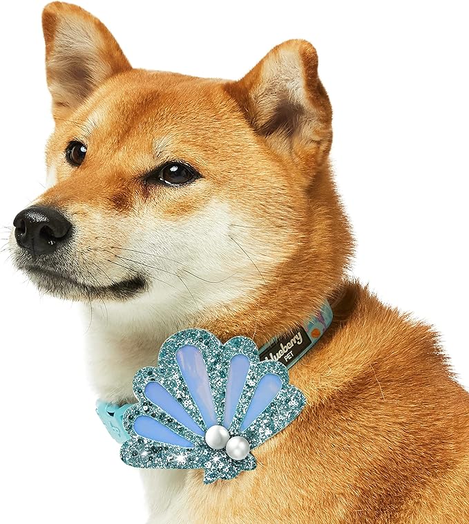 Blueberry Pet Summer Sparkle Dog Collar, Adjustable Small Size, Neck 12"-16", Turquoise, Ocean Fish and Seahorse Print Nautical Pet Collar with Detachable Seashells Accessory