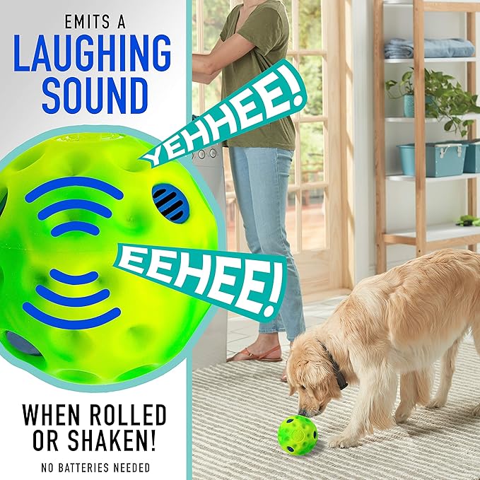 Franklin Ready Set Fetch! Laugh and Wiggle Ball Interactive Dog Toy Fun Giggle Sounds Encourage Endless Play Super Durable BPA Free Tough No Batteries Required