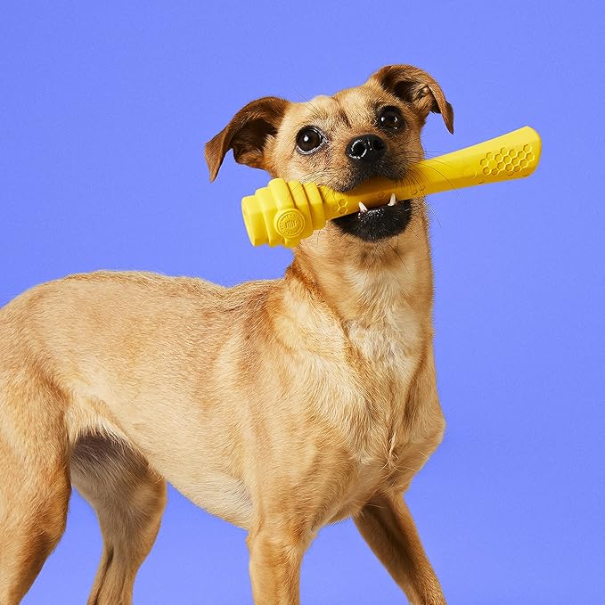 PROJECT HIVE ·PET COMPANY· - Hive Dog Fetch Stick for Large Breeds - Dog Stick Toy - Floats in Water - Treat Dispenser Toy - Durable and Tough - Made in The USA