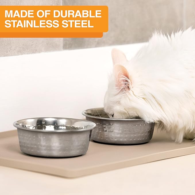 Neater Pet Brands Hammered Decorative Designer Bowls - Luxury Style Premium Dog and Cat Dishes (Small, Stainless)
