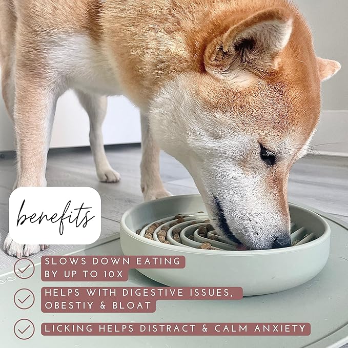 Should We Go? Slow Feeder for Dogs & Puppies, The Slowdown Bowl Silicone Slow Eating, Modern Lick Mat Design, Reduces Gulping, Fits 2 Cups, 7.5” Across x 1.5” Tall, Mealtime Challenge, Medium-Sand