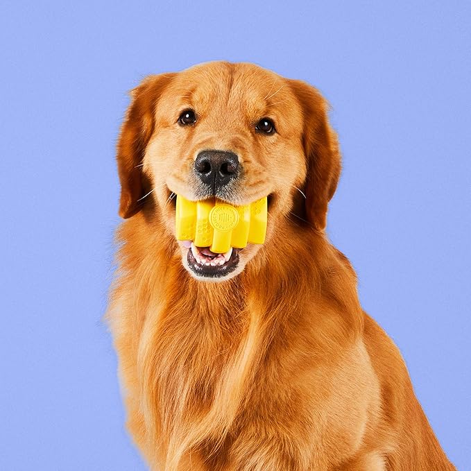 PROJECT HIVE ·PET COMPANY· - Hive Chew Toy for Large Dogs - Dog Chew Toy for Large Breeds - Floats in Water - Durable and Tough - Made in The USA