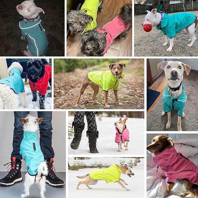 Blueberry Pet Windproof Waterproof Reflective Softshell Dog Jacket, Neon Yellow, Size 10