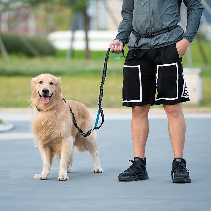 iYoShop Hands Free Dog Leash with Zipper Pouch, Dual Padded Handles and Durable Bungee for Walking, Jogging and Running Your Dog (Colorful Geometric, Large)