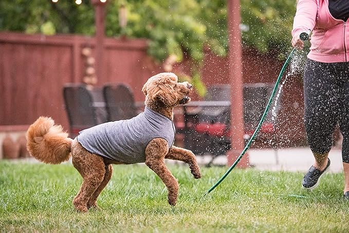 Gold Paw Sun Shield Dog Tee – T-Shirt for Canines – UV Protection, Pet Anxiety Relief, Wound Care – Protects Against Foxtails, Aids Alopecia - Machine Washable, All Season – Size 4 – Grey