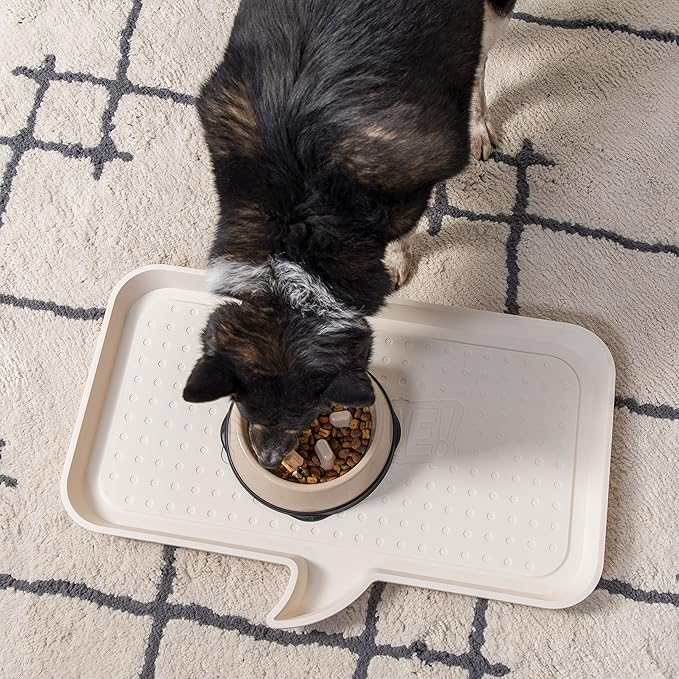 IRIS Large Slow Feeding Bowl for Long Snouted Pets, Beige/Black (Pack of 2)