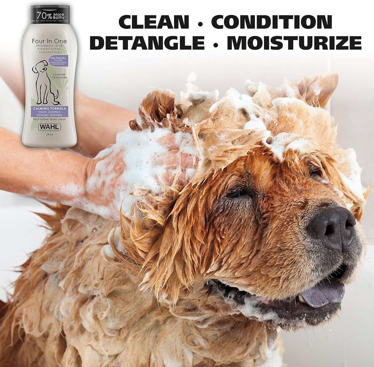 Calming Shampoo – Lavender Itch Relief + 4-in-1 Deep Clean