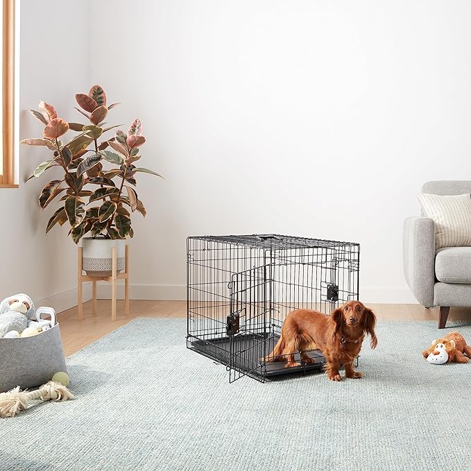 Amazon Basics Durable,Foldable Metal Wire Dog Crate with Tray, Double Door, 30 x 19 x 21 in, Black