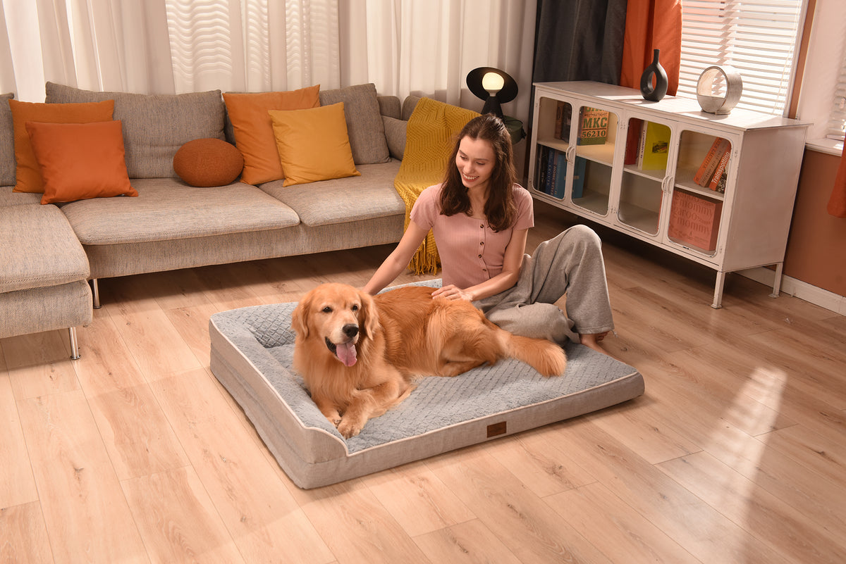 Comfort Expression XL Dog Bed Orthopedic, Extra Larg | Pet Safety & Co - Image 8
