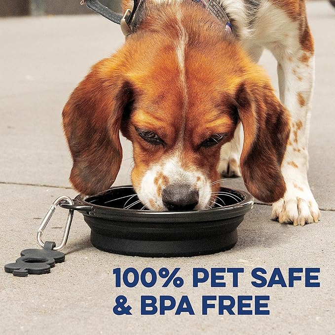 Bonza Collapsible Dog Bowl - Portable Travel Water Bowl for Dogs - Dishwasher Safe Silicone Pet Dish - Collapsible Pet Dish with Carabiner Clip - 50 Oz, X-Large, Navy Blue